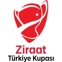 Türkiye Kupası